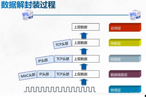 計(jì)算機(jī)網(wǎng)絡(luò)的參考模型